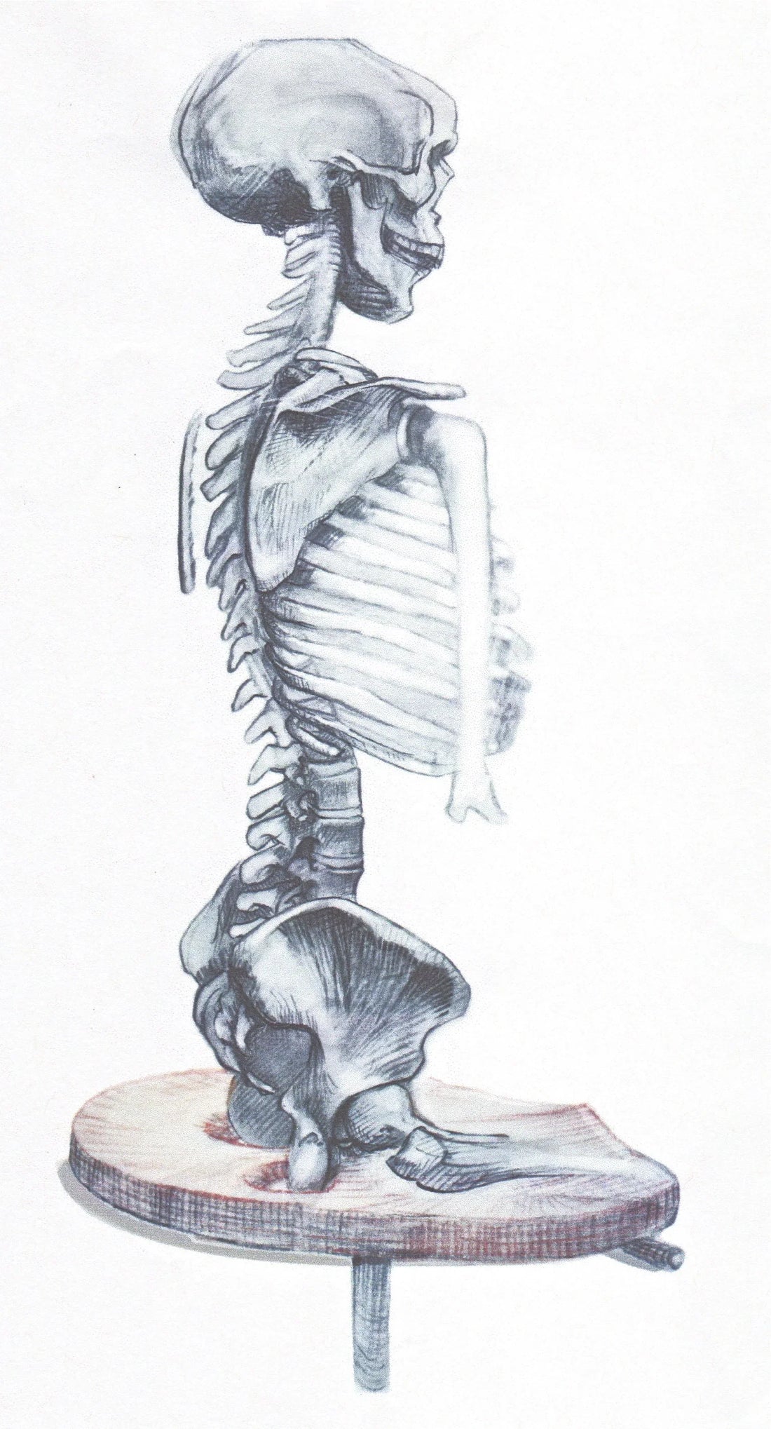 Lumbar Accessary Adjustment