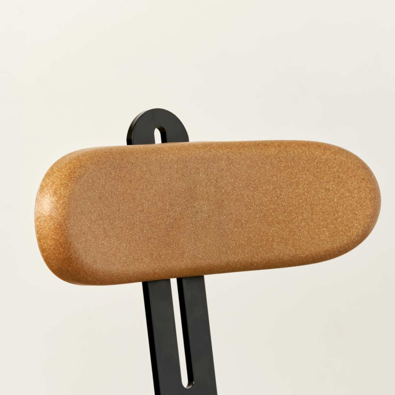 ErgoPro Lumbar Support Accessory
