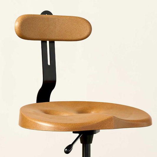 ErgoPro Lumbar Support Accessory