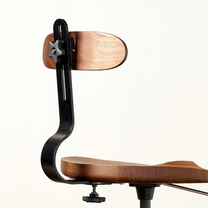 Lumbar Support Accessory