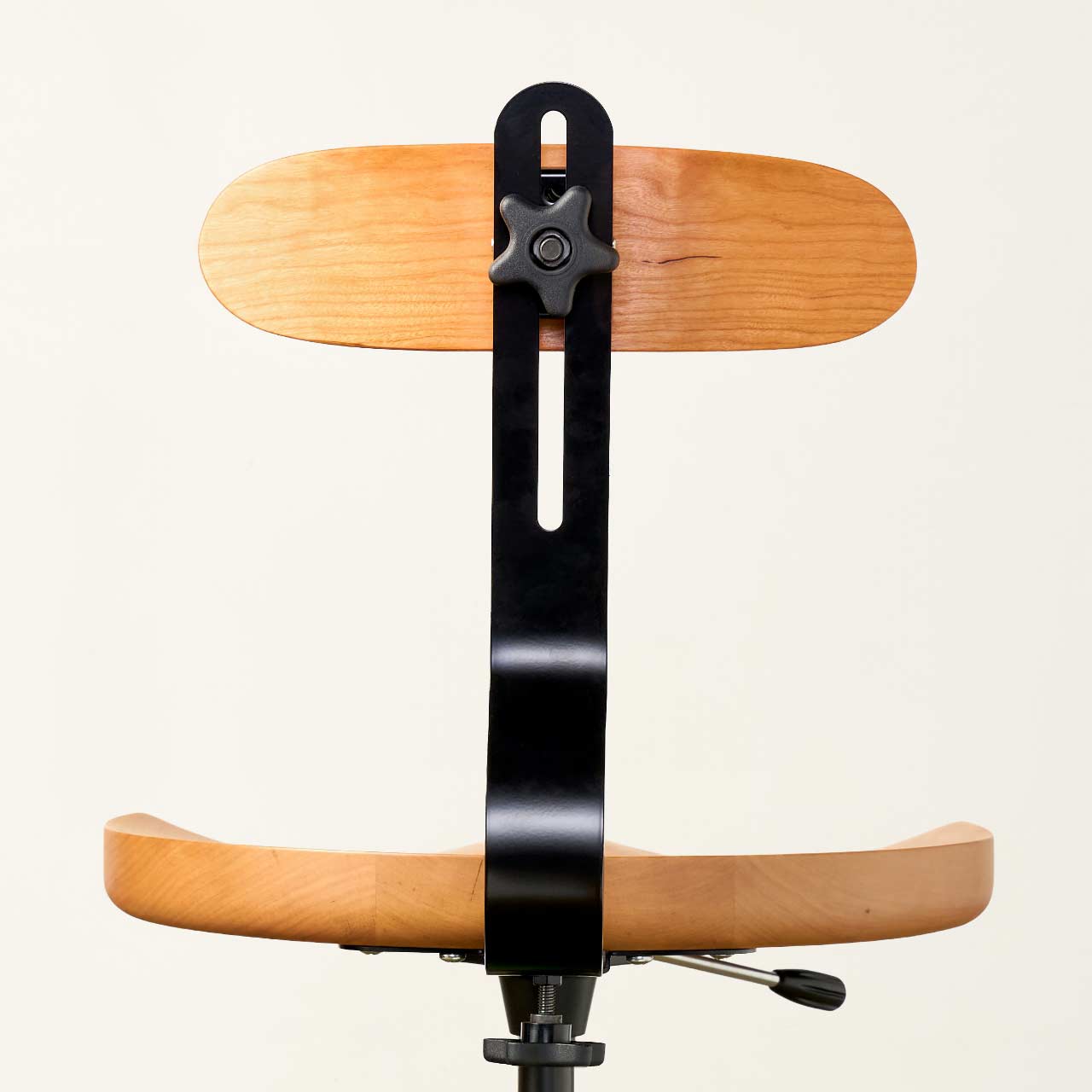 Lumbar Support Accessory