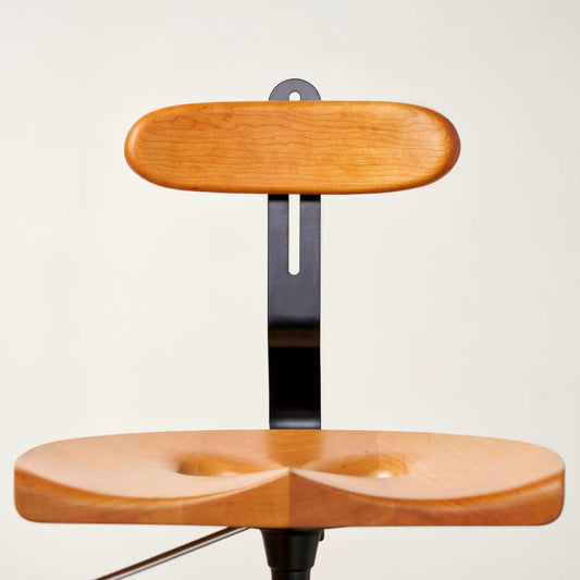 Lumbar Support Accessory